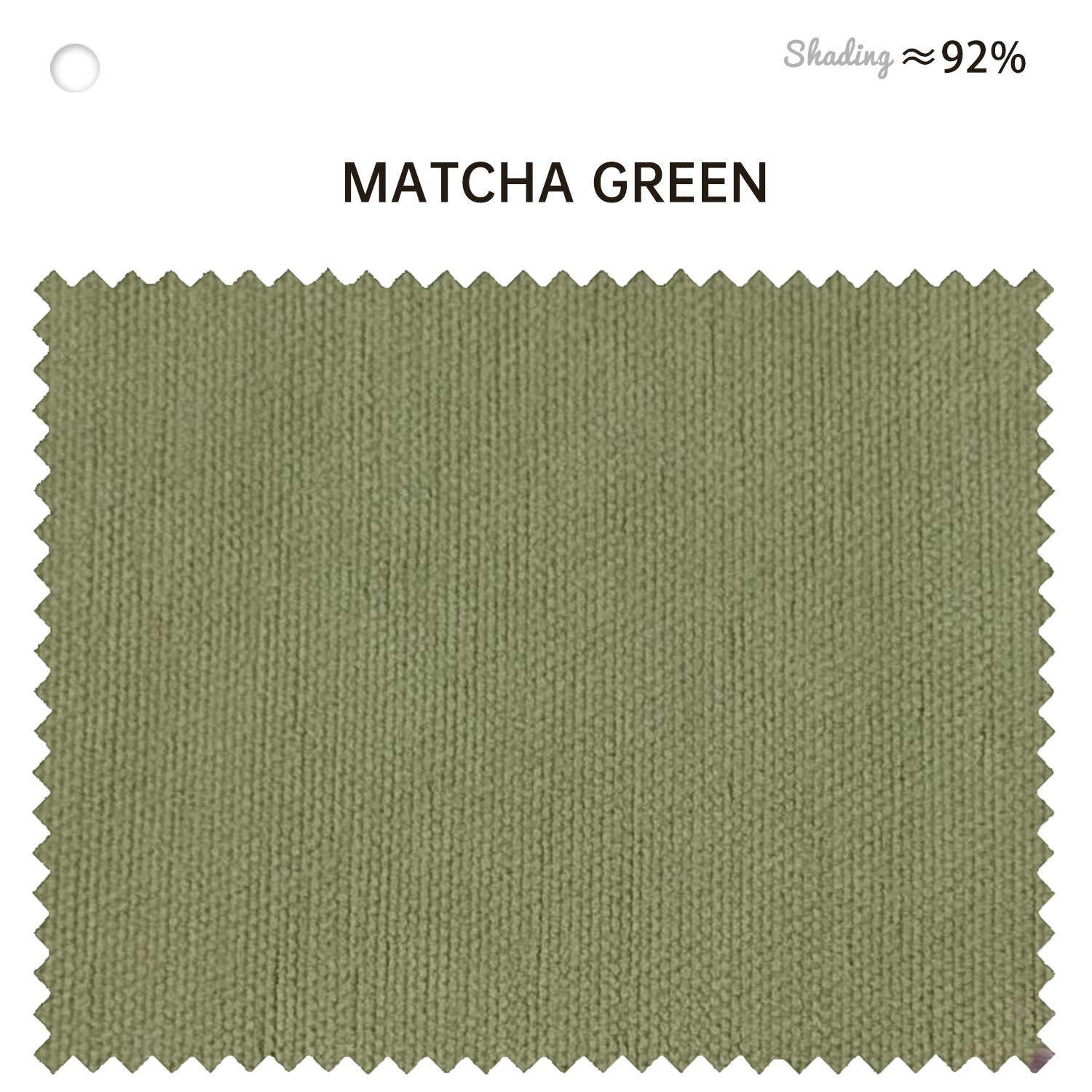Troy Double-Sided Chenille Blackout Curtains for Bedroom and Living Room BCL-117